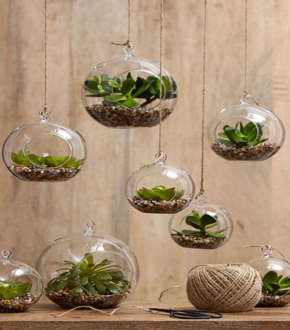 Decora tu casa con plantas en burbujas de cristal